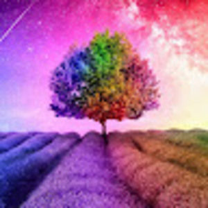 Meet your Posher, Joi